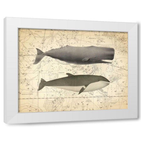 Whale Costellation 1 White Modern Wood Framed Art Print by James, Christopher