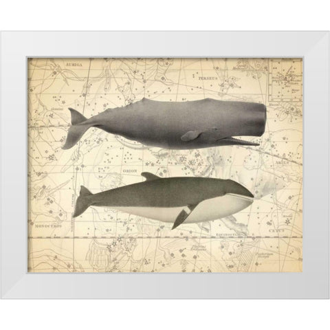 Whale Costellation 1 White Modern Wood Framed Art Print by James, Christopher