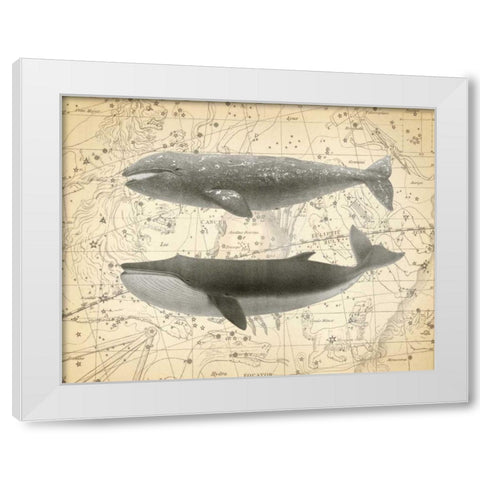 Whale Constellation 2 White Modern Wood Framed Art Print by James, Christopher
