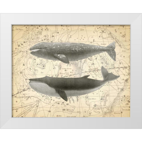 Whale Constellation 2 White Modern Wood Framed Art Print by James, Christopher