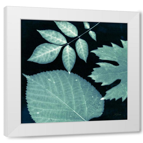 Teal Sunprint Leaves White Modern Wood Framed Art Print by Zamudio, Dan