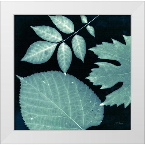 Teal Sunprint Leaves White Modern Wood Framed Art Print by Zamudio, Dan