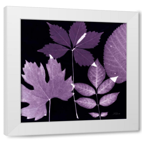 Plum Sunprint Leaves White Modern Wood Framed Art Print by Zamudio, Dan
