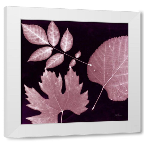 Cabernet Sunprint Leaves White Modern Wood Framed Art Print by Zamudio, Dan