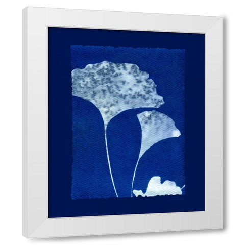 Cyanotype Ginko White Modern Wood Framed Art Print by Zamudio, Dan