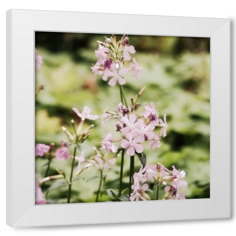 Garden Dreams 1 White Modern Wood Framed Art Print by Hoey, Linda