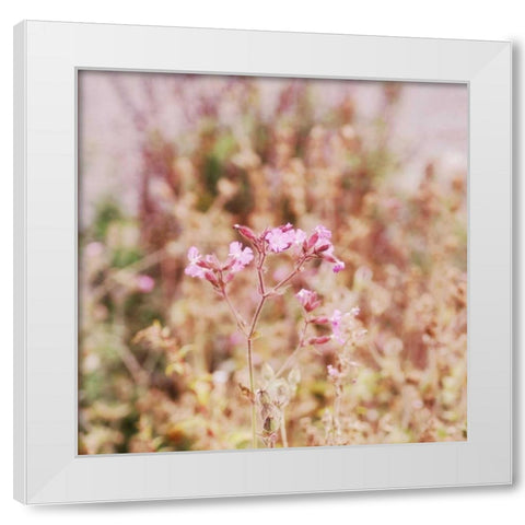 Garden Dreams 2 White Modern Wood Framed Art Print by Hoey, Linda