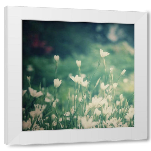 Garden Dreams 3 White Modern Wood Framed Art Print by Hoey, Linda