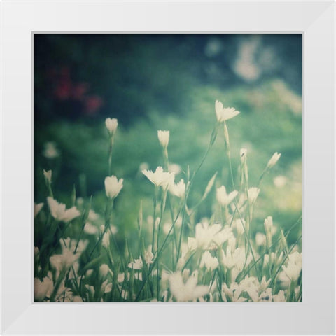 Garden Dreams 3 White Modern Wood Framed Art Print by Hoey, Linda