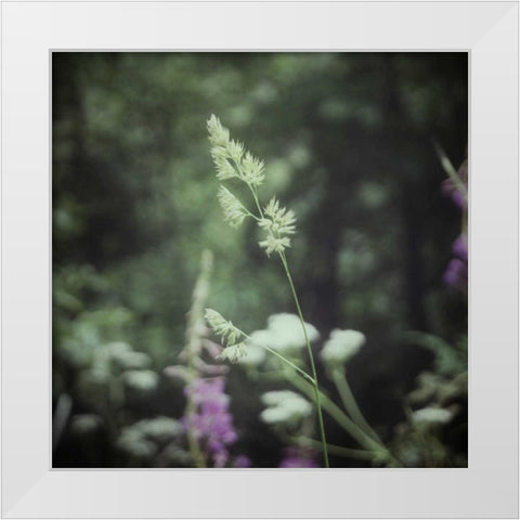 Garden Dreams 4 White Modern Wood Framed Art Print by Hoey, Linda