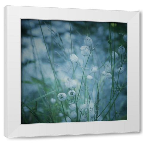 Garden Dreams 5 White Modern Wood Framed Art Print by Hoey, Linda