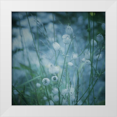 Garden Dreams 5 White Modern Wood Framed Art Print by Hoey, Linda