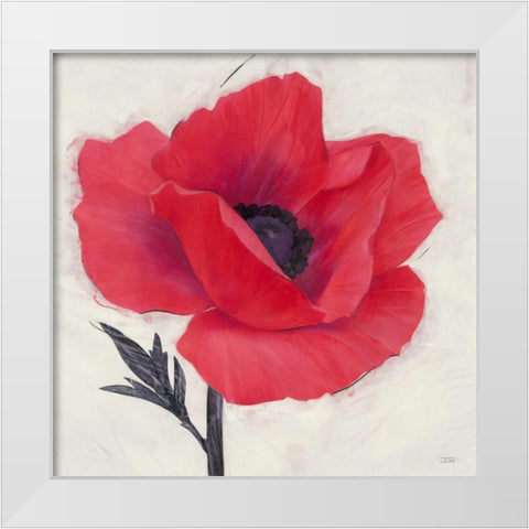 Jubilant Poppy White Modern Wood Framed Art Print by Stoyanov, Ivo