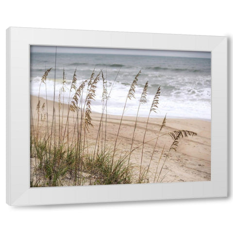 Silver Seagrass White Modern Wood Framed Art Print by Semenza, Marlana