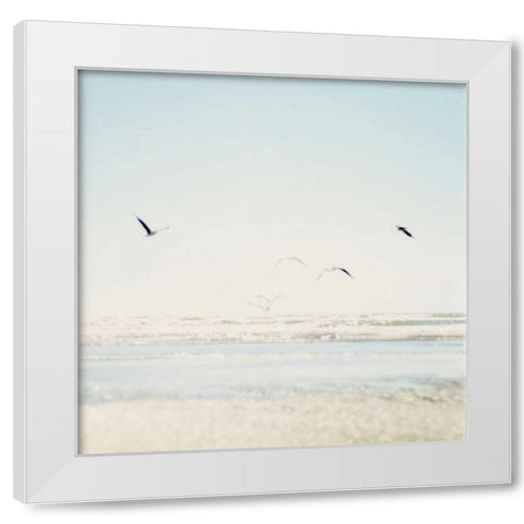 Faded Flight White Modern Wood Framed Art Print by Susannah Tucker Photography