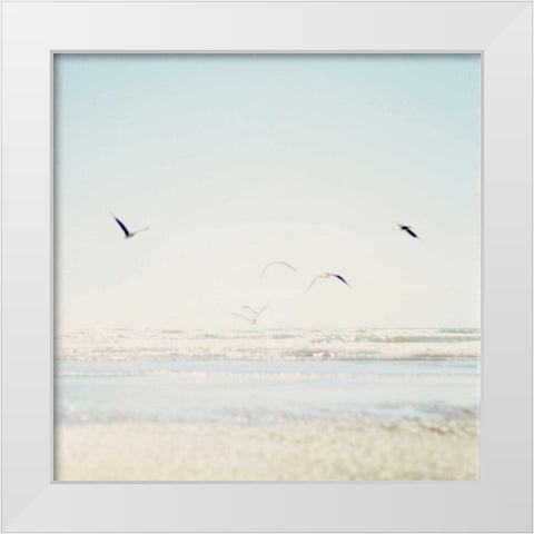 Faded Flight White Modern Wood Framed Art Print by Susannah Tucker Photography