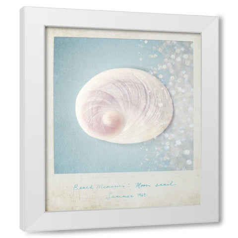 Beach Memories Moon Snail White Modern Wood Framed Art Print by Susannah Tucker Photography