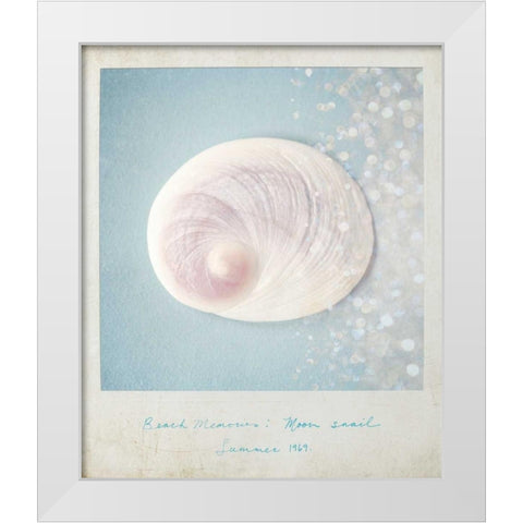 Beach Memories Moon Snail White Modern Wood Framed Art Print by Susannah Tucker Photography