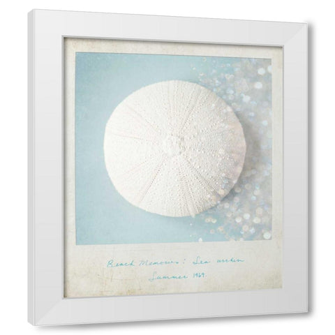 Beach Memories Sea Urchin White Modern Wood Framed Art Print by Susannah Tucker Photography