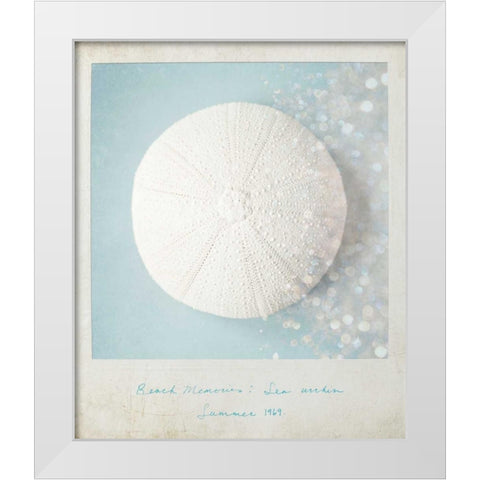Beach Memories Sea Urchin White Modern Wood Framed Art Print by Susannah Tucker Photography
