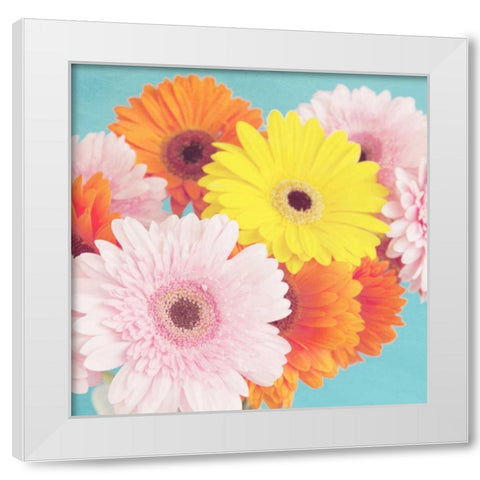 Happy Daisies White Modern Wood Framed Art Print by Susannah Tucker Photography