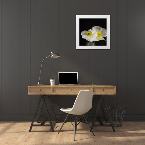 Dramatic Petals 2 White Modern Wood Framed Art Print by Susannah Tucker Photography
