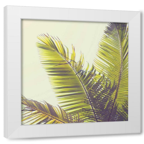 Sunshine Palm Trees White Modern Wood Framed Art Print by Susannah Tucker Photography