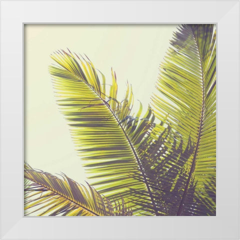 Sunshine Palm Trees White Modern Wood Framed Art Print by Susannah Tucker Photography