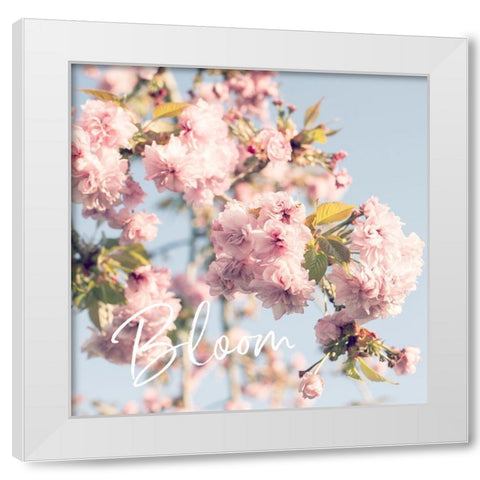 Blooming Cherry Blossoms White Modern Wood Framed Art Print by Susannah Tucker Photography