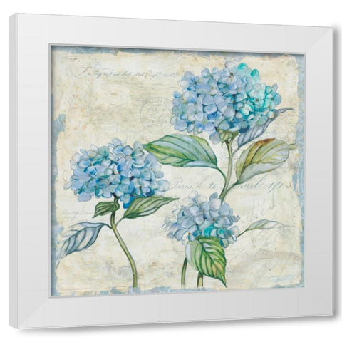 Studio Field Sketch 1 White Modern Wood Framed Art Print by Studio Rofino