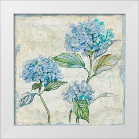 Studio Field Sketch 1 White Modern Wood Framed Art Print by Studio Rofino