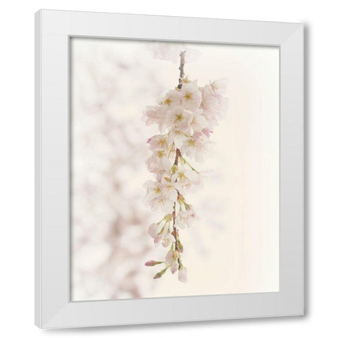 Hanging Blossoms White Modern Wood Framed Art Print by Dickinson, Robin