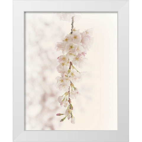 Hanging Blossoms White Modern Wood Framed Art Print by Dickinson, Robin