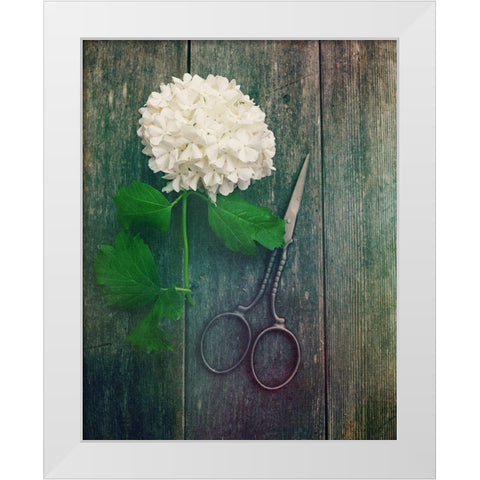 Fresh Cut White Modern Wood Framed Art Print by Dickinson, Robin