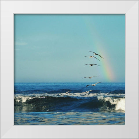 Rainbow Flight White Modern Wood Framed Art Print by Dickinson, Robin