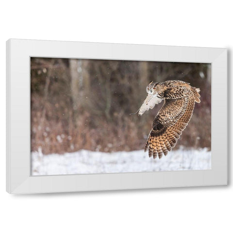 Take Flight White Modern Wood Framed Art Print by Mark Spowart Photography