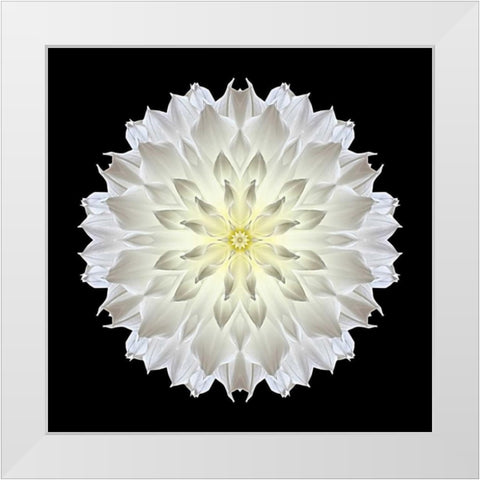 Kaleidoscope Dahlia Black White Modern Wood Framed Art Print by Bookbinder, David