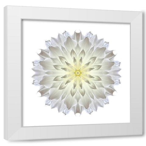 Kaleidoscope Dahlia White Modern Wood Framed Art Print by Bookbinder, David