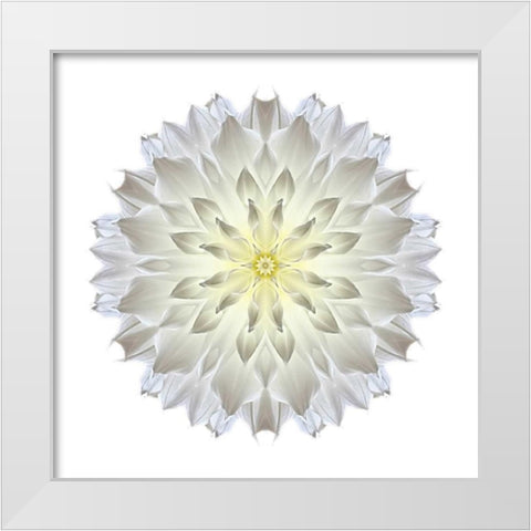 Kaleidoscope Dahlia White Modern Wood Framed Art Print by Bookbinder, David