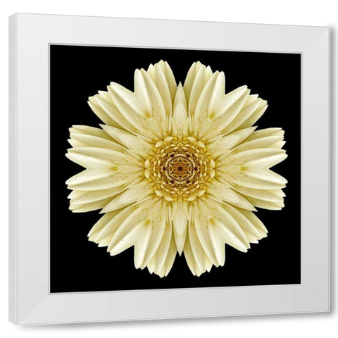 Kaleidoscope Daisy Black White Modern Wood Framed Art Print by Bookbinder, David
