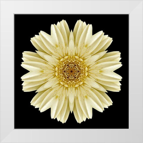 Kaleidoscope Daisy Black White Modern Wood Framed Art Print by Bookbinder, David