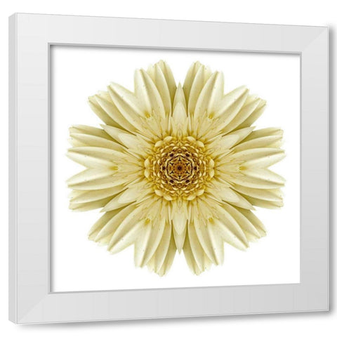 Kaleidoscope Daisy White Modern Wood Framed Art Print by Bookbinder, David