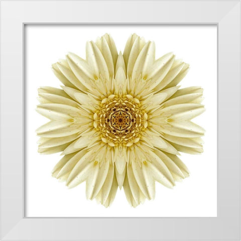 Kaleidoscope Daisy White Modern Wood Framed Art Print by Bookbinder, David