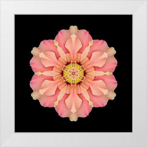 Kaleidoscope Hibiscus White Modern Wood Framed Art Print by Bookbinder, David