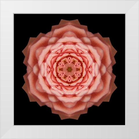 Kaleidoscope Rose White Modern Wood Framed Art Print by Bookbinder, David
