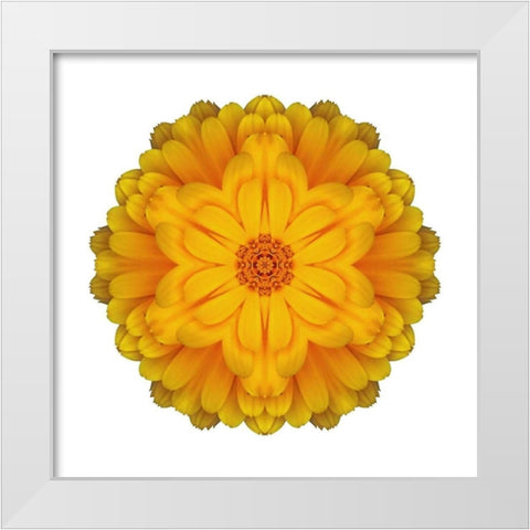 Kaleidoscope Marigold White Modern Wood Framed Art Print by Bookbinder, David