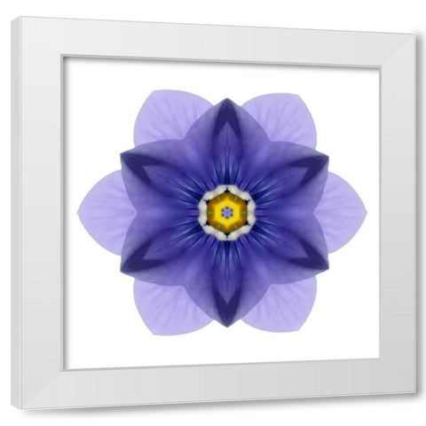 Kaleidoscope Blue Bell White Modern Wood Framed Art Print by Bookbinder, David
