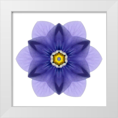 Kaleidoscope Blue Bell White Modern Wood Framed Art Print by Bookbinder, David