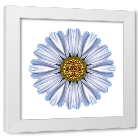 Kaleidoscope White Daisy White Modern Wood Framed Art Print by Bookbinder, David