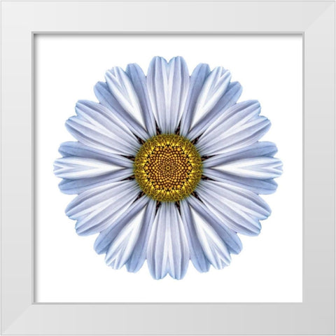 Kaleidoscope White Daisy White Modern Wood Framed Art Print by Bookbinder, David